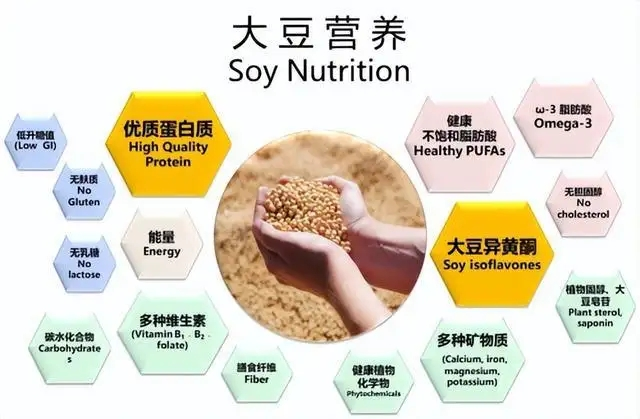 918搏天堂(中国区)官方网站